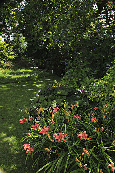 IMG_8231_2 - MUSEUM GARDENS