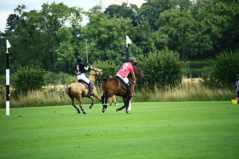 BV6R6829 - WHITE ROSE POLO CLUB LADIES DAY