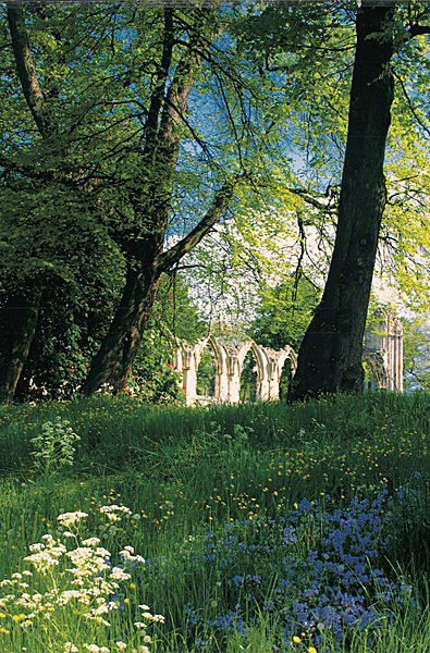 CS54BBELLS_2 - MUSEUM GARDENS