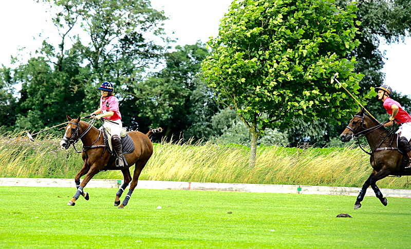 BV6R6767 - WHITE ROSE POLO CLUB LADIES DAY