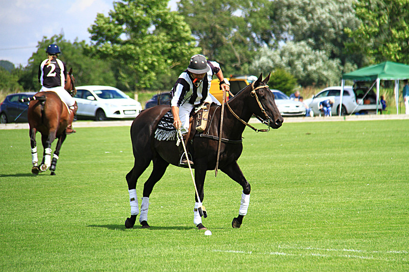IMG_7618 - WHITE ROSE POLO CLUB LADIES DAY