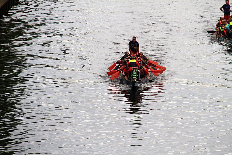 DRAGON BOAT RACE 10 July 2016 - 137 of 549 - DRAGON BOAT RACES 2016 York Rotary Club