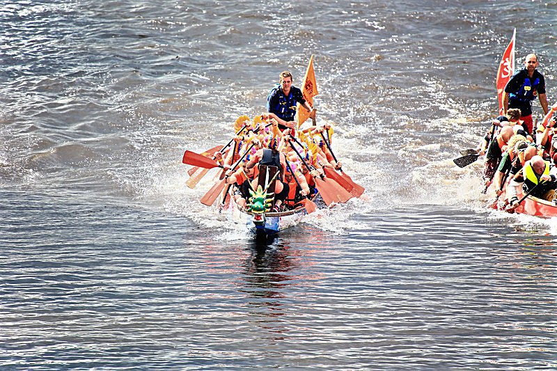 DRAGON BOAT RACE 10 July 2016 - 482 of 549 - DRAGON BOAT RACES 2016 York Rotary Club