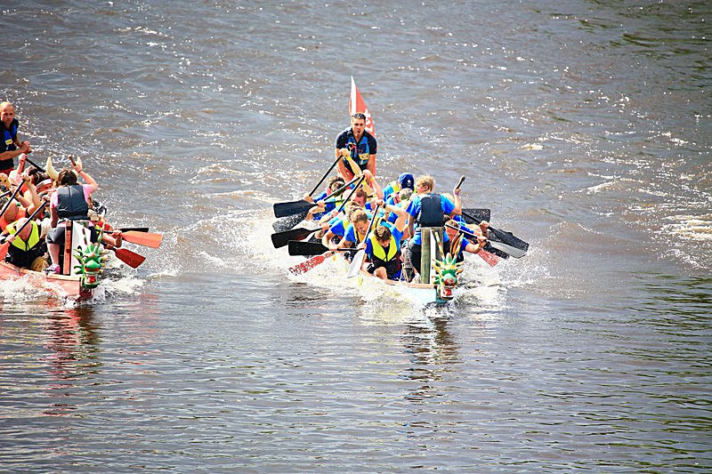 DRAGON BOAT RACE 10 July 2016 - 480 of 549 - DRAGON BOAT RACES 2016 York Rotary Club