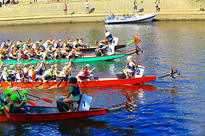 BV6R4473 - DRAGON BOAT RACE 2017