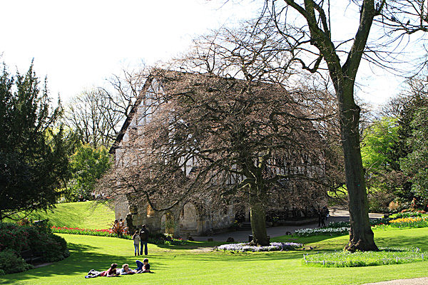 IMG_3285 - MUSEUM GARDENS