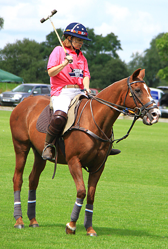 IMG_7620 - WHITE ROSE POLO CLUB LADIES DAY