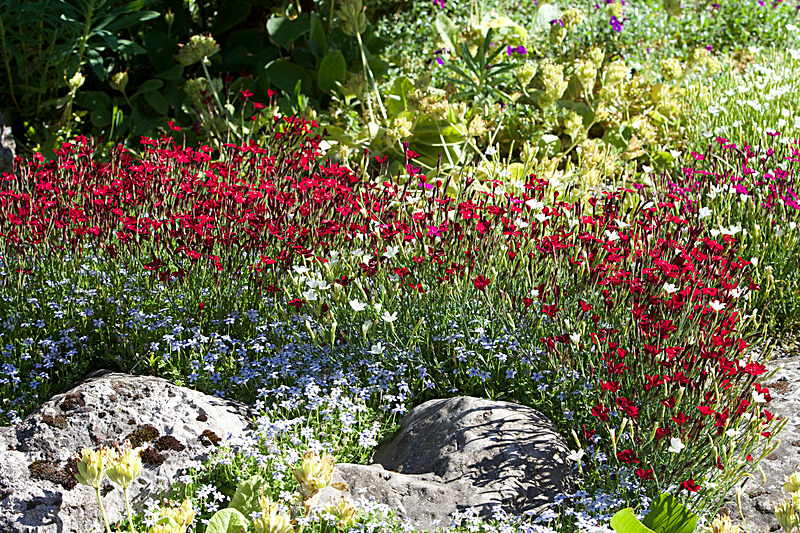JUNE 2015-27 - FOUR SEASONS MUSEUM GARDENS