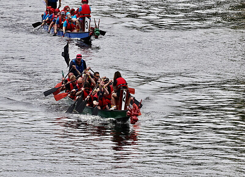 0I9A6985 - DRAGON BOAT RACE 2025
