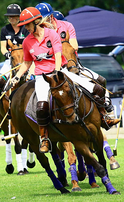 BV6R6810 - WHITE ROSE POLO CLUB LADIES DAY