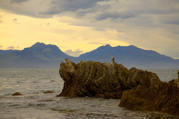 KAIKURA - NEW ZEALAND