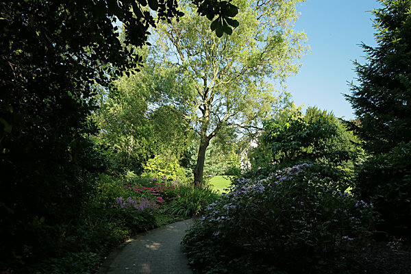 IMGL7674 - MUSEUM GARDENS