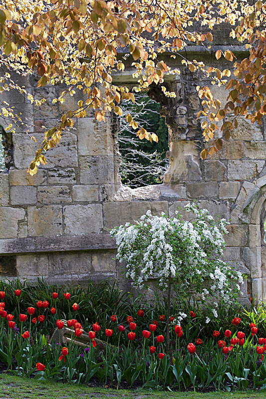 MAY 2015-20 - FOUR SEASONS MUSEUM GARDENS