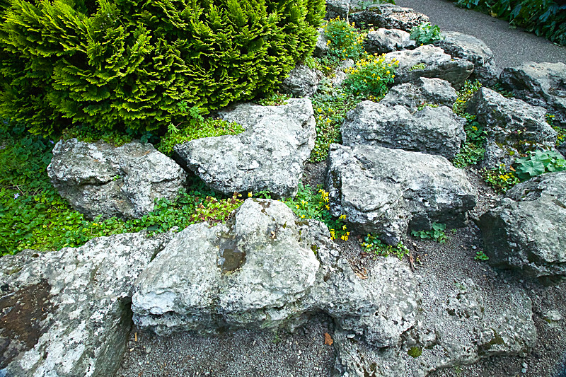 SEPTEMBER  2014   -16 - FOUR SEASONS MUSEUM GARDENS