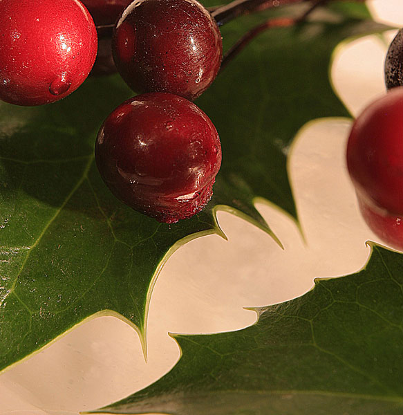 12  Frosted Holly - CHRISTMAS