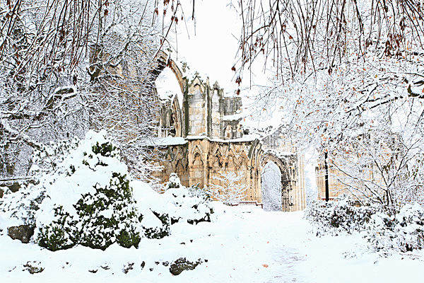 IMG_8659_2 - MUSEUM GARDENS