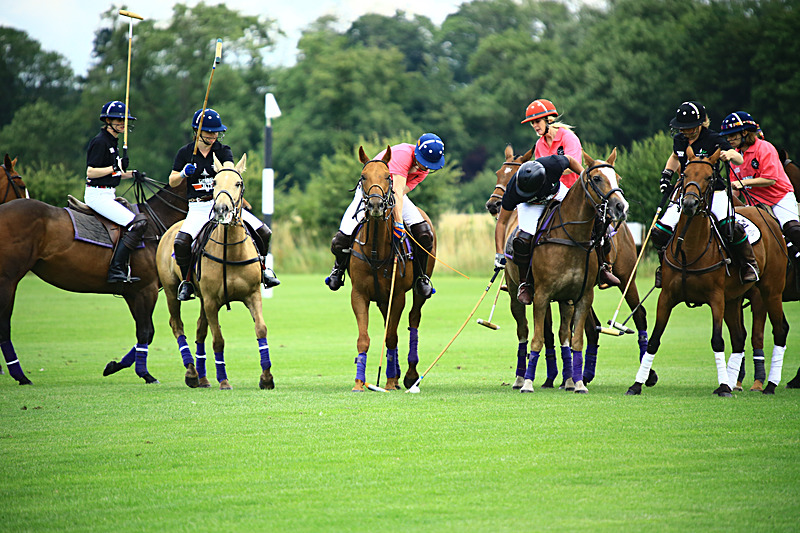 BV6R6784 - WHITE ROSE POLO CLUB LADIES DAY
