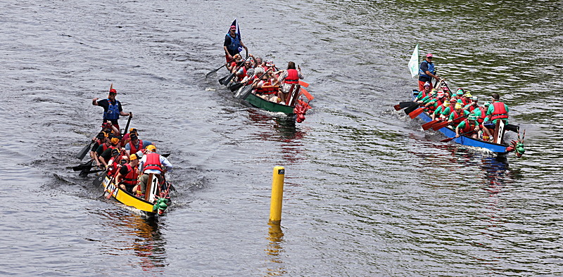0I9A6876 - DRAGON BOAT RACE 2025