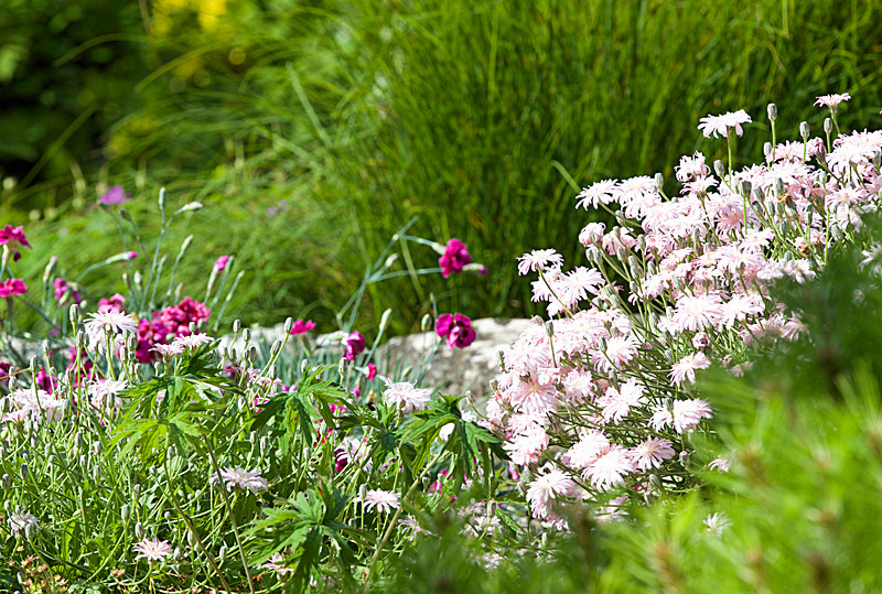 JULY 2014-2 - FOUR SEASONS MUSEUM GARDENS