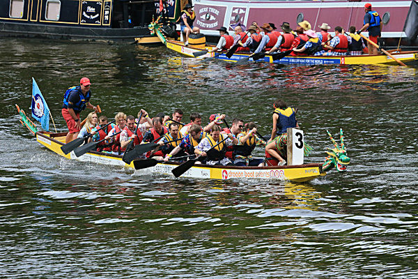 IMGL6637 - DRAGON BOAT RACE 2014 York Rotary Club