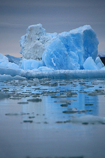 IMG_7691_2_2 - SVALBARD 2013
