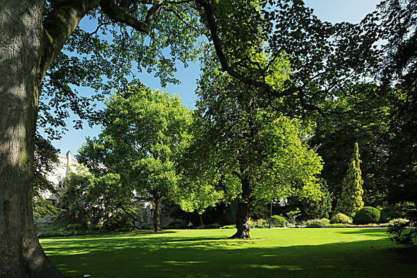 IMGL7746 - MUSEUM GARDENS