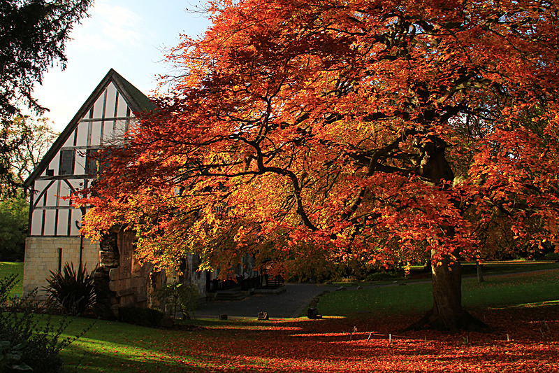 OCTOBER 2015-6 - FOUR SEASONS MUSEUM GARDENS