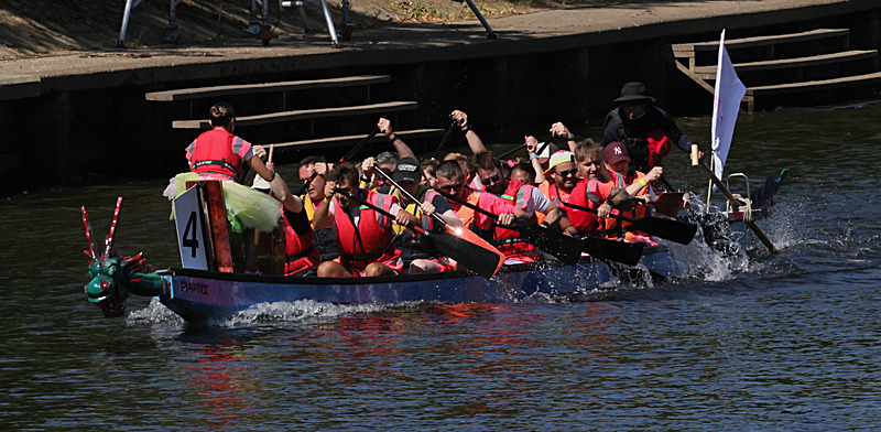 THE YORK ROTARY DRAGON BOAT CHALLENGE 2026 - 77 of 426 - DRAGON BOAT RACE 2026. York Rotary Club.