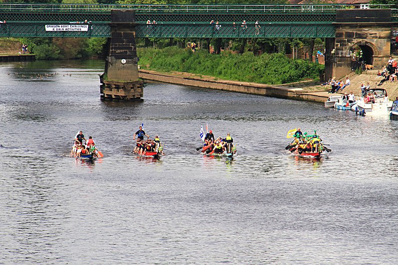 DRAGON BOAT RACE 10 July 2016 - 192 of 549 - DRAGON BOAT RACES 2016 York Rotary Club