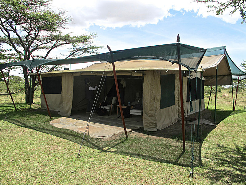  - MASAI MARA, KENYA  OCT 2014