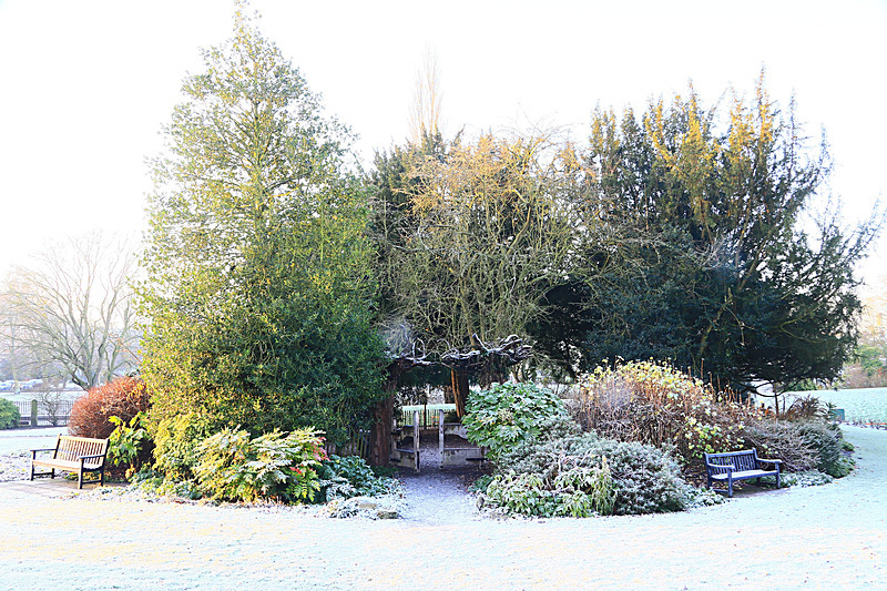 DECEMBER 2014-7 - FOUR SEASONS MUSEUM GARDENS