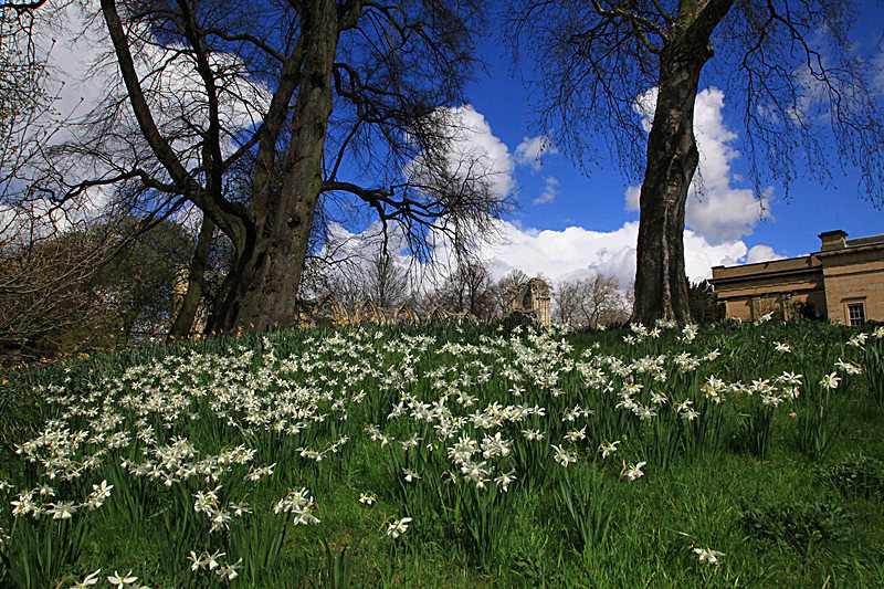 APRIL 2013 - FOUR SEASONS MUSEUM GARDENS