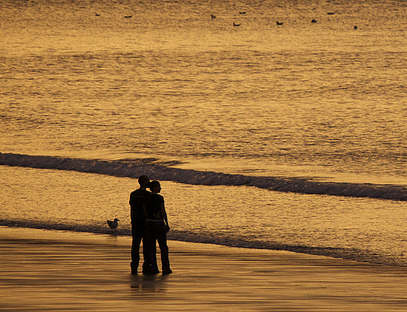 IMG_3008 - Version 2 - PORTFOLIO 2015
