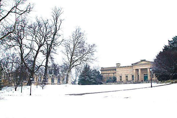 IMG_4048 copy - MUSEUM GARDENS