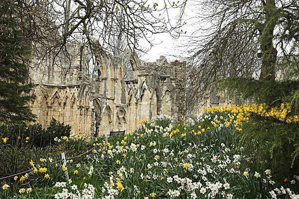 IMGL2078 - MUSEUM GARDENS