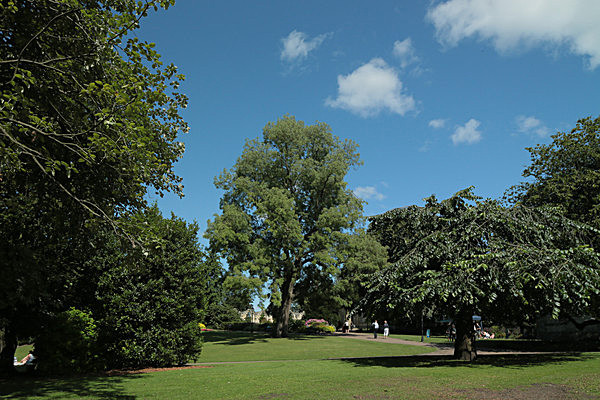 IMGL7832 - MUSEUM GARDENS