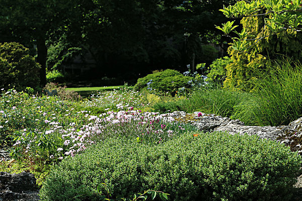 IMGL6018 - MUSEUM GARDENS