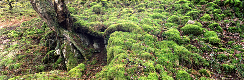 Middle-earth, Swaledale - Yorkshire Dales