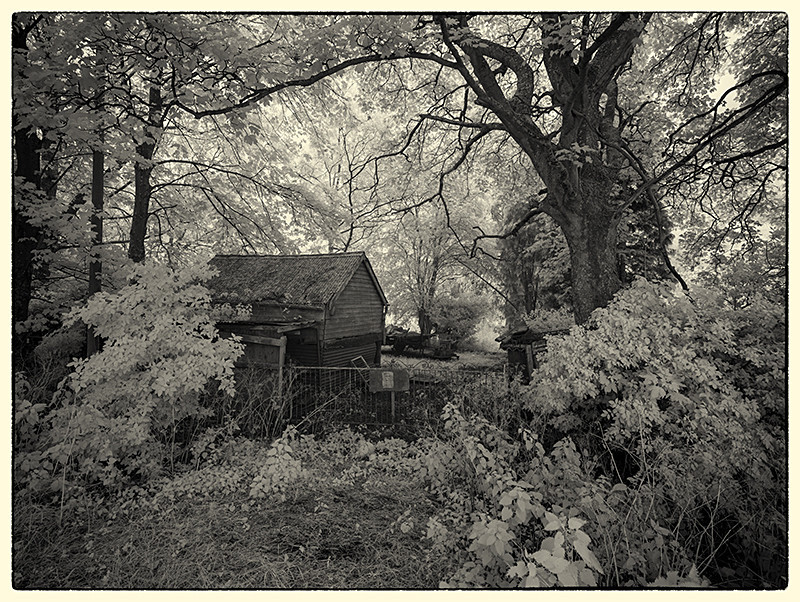 Abandoned - Infra Red