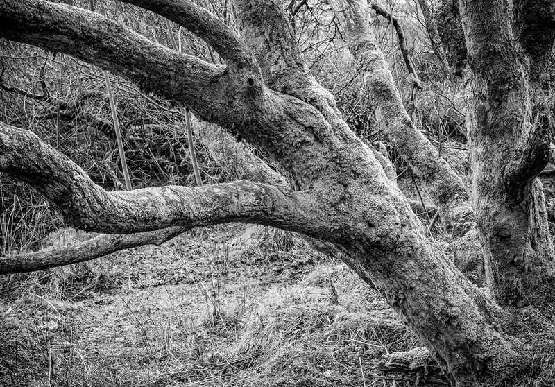 Reaching Out Glanteenassig - Ireland