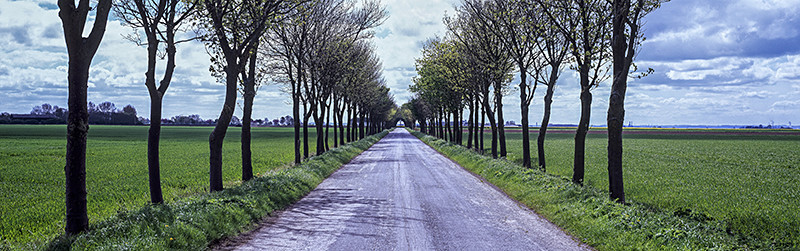 Vanishing Point, Sunk Island Road - East Yorkshire