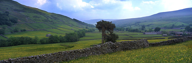 Wildflower Meadows, Swaledale - Yorkshire Dales