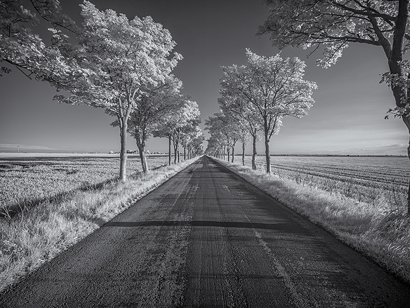 Sunk Island Vanishing Point - Infra Red