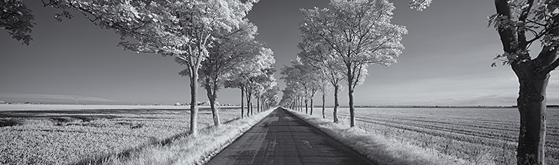 Sunk Island Vanishing Point2 - Infra Red