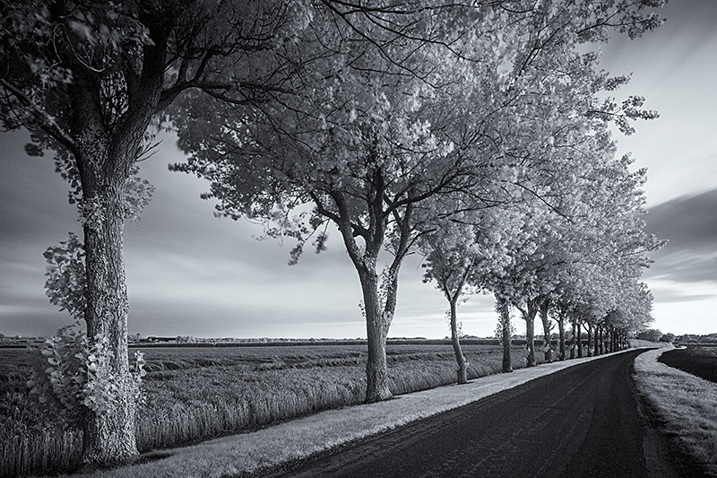 The Night Road from Mappleton - Infra Red