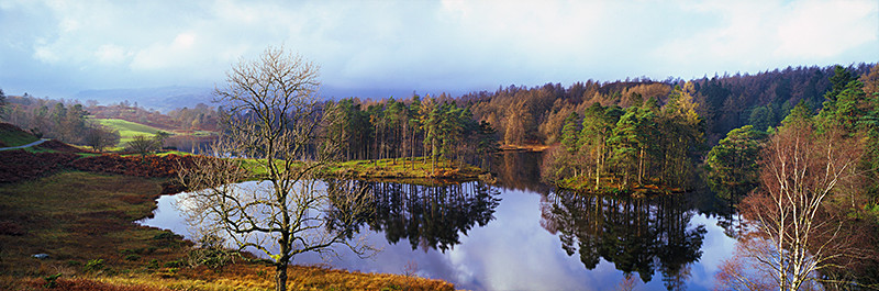 Autumn at Tarn Hows - Lake District