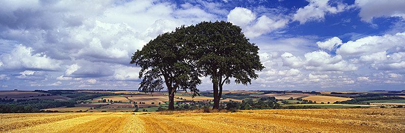 Two Trees Warter 1 - East Yorkshire