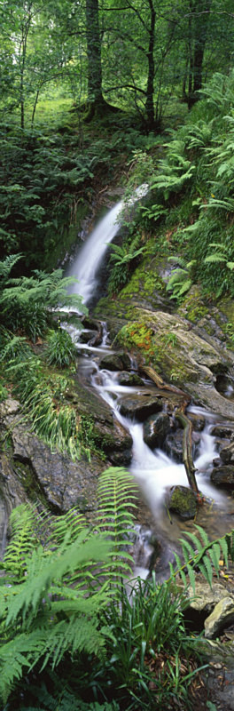 Tumbling Down, Holme Force - Lake District