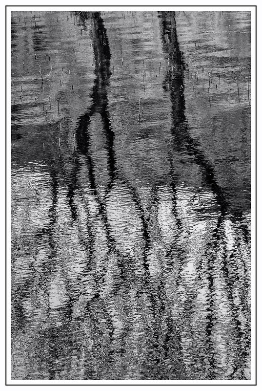 Reflecting - Ireland