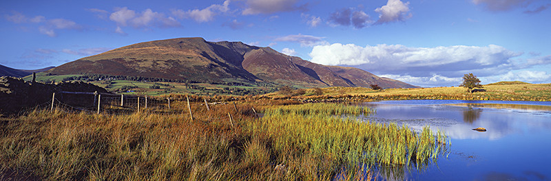 At the Soggy Edge Tewet Tarn - Lake District